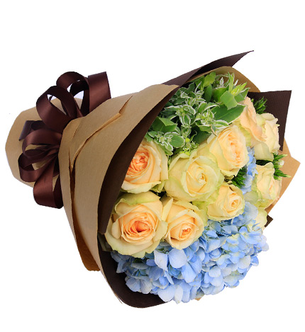 Champagne Champagne Hydrangea — alternate view