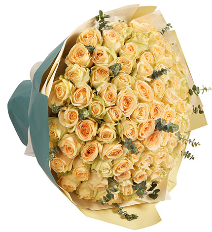 Champagne Champagne Roses — alternate view