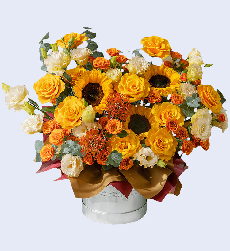 Champagne Champagne Sunflowers