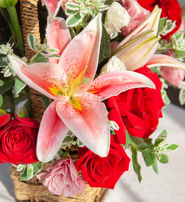 Corolla Red Lilies — alternate view