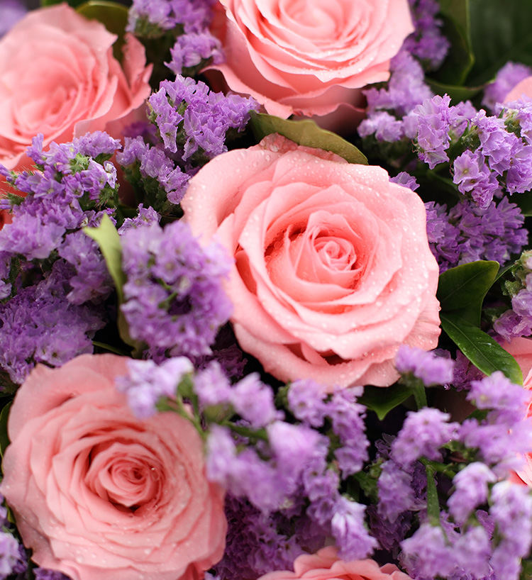 Diana Pink Roses — alternate view