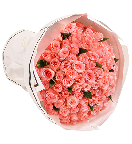 Diana Pink Roses — alternate view