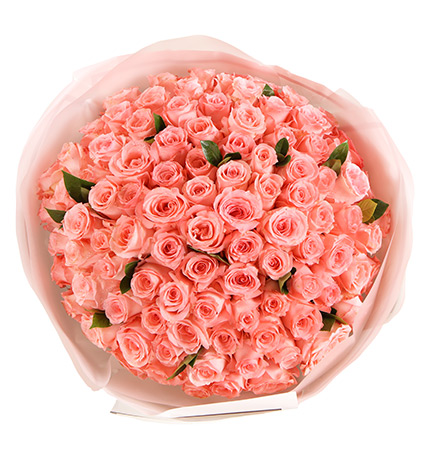 Diana Pink Roses — alternate view