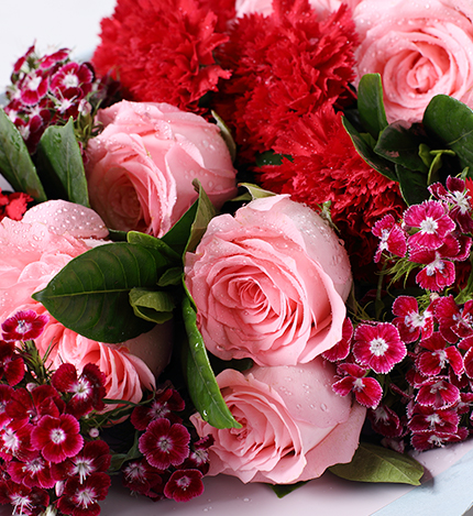 Diana Pink Roses — alternate view