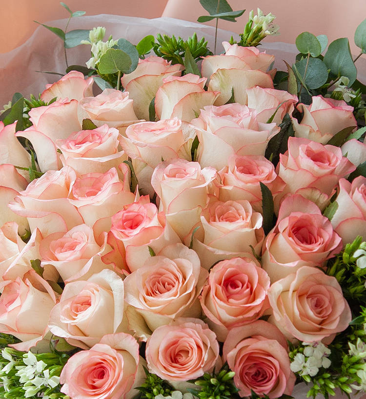 Elsa Pink Roses — alternate view