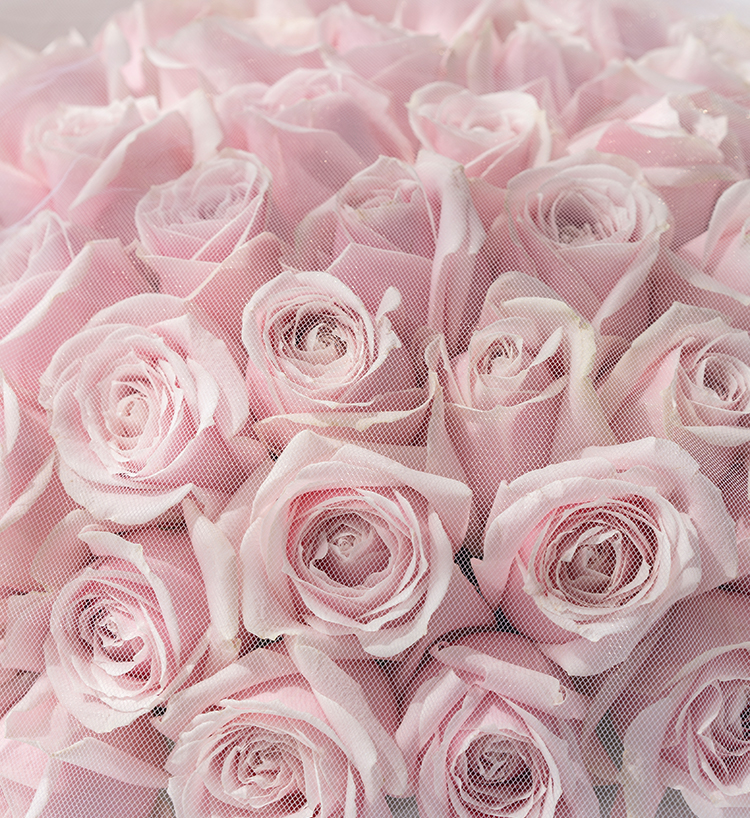 Fairy Tulle 52 Pink Roses — alternate view