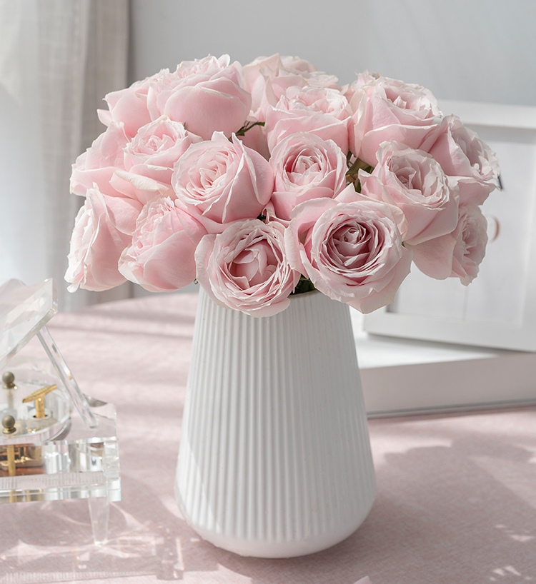 Fairy Tulle 52 Pink Roses — alternate view