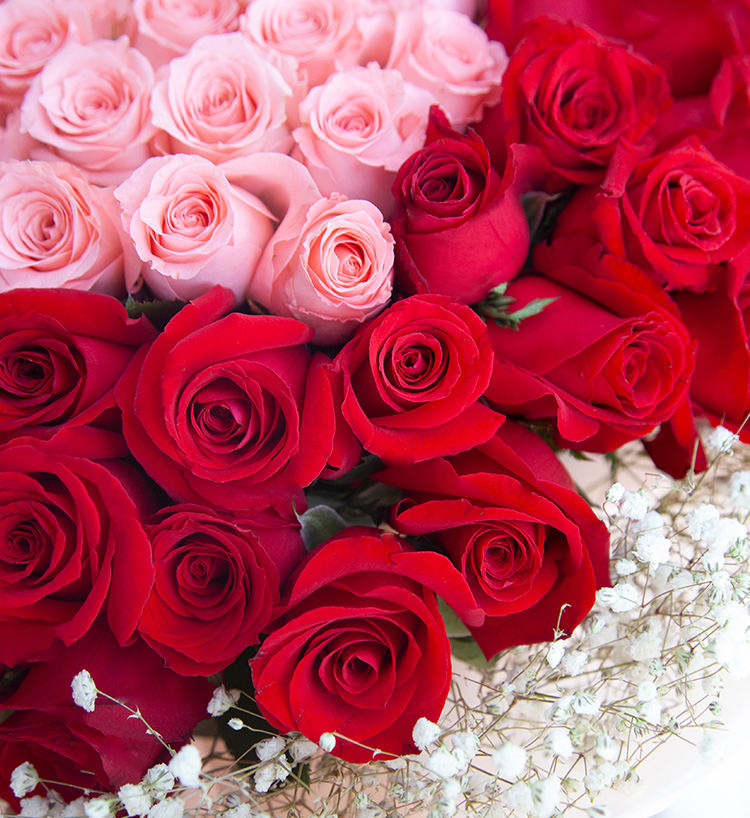 Thirty-three Diana Pink Roses Bouquet — alternate view