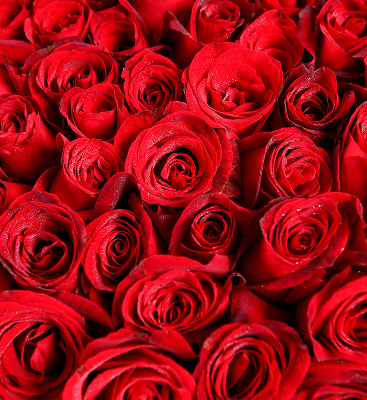 999 Corolla Red Roses Bouquet — alternate view
