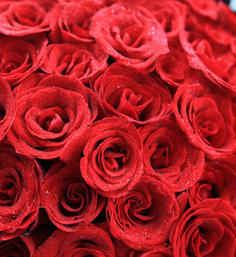 108 Roses Bouquet — alternate view