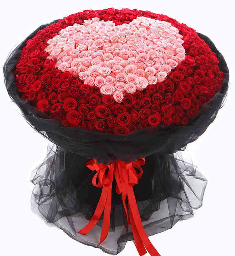 520 Corolla Red Roses Bouquet