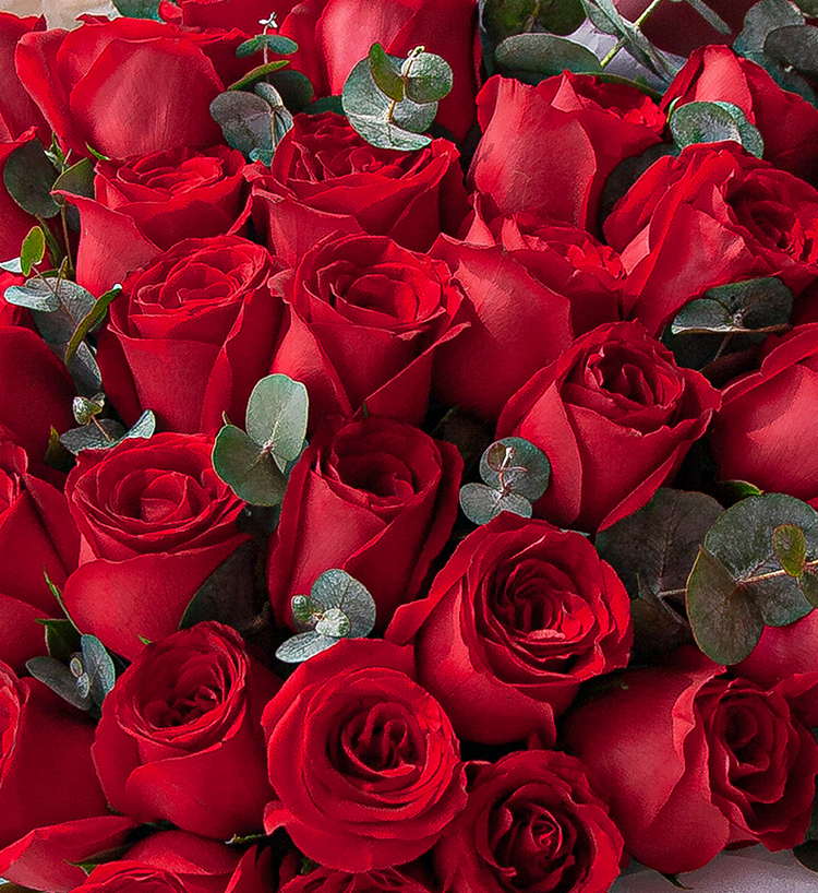 Thirty-three Roses Bouquet — alternate view