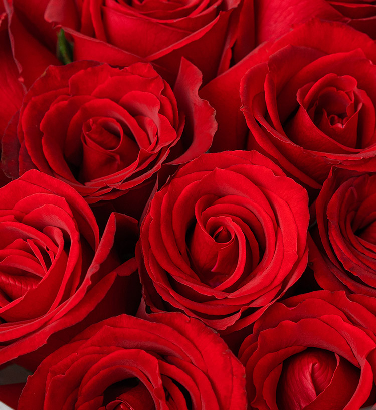 Elegant Flower Arrangement — alternate view