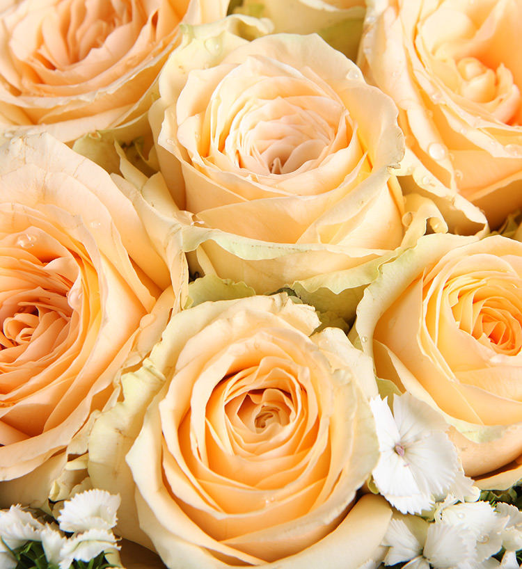Nineteen Champagne Roses Bouquet — alternate view