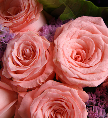 Twelve Roses Bouquet — alternate view
