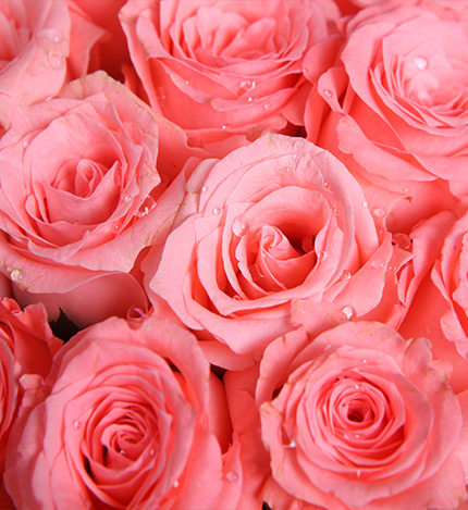Fifty Roses Bouquet — alternate view