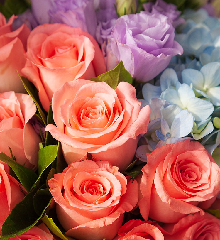 Eleven Roses Bouquet — alternate view