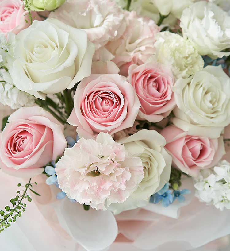 Four Pink Roses & White Stock Flowers & Blue Star Flowers & Pink Ruffled Balloon Flowers & Stock Flowers Bouquet — alternate view
