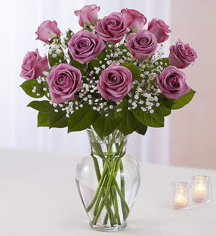 Lavender Elegance Roses