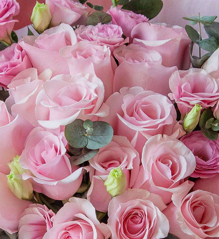 Little Fairy Pink Roses — alternate view