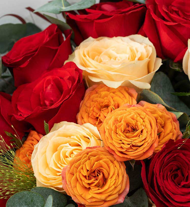Love You Roses — alternate view
