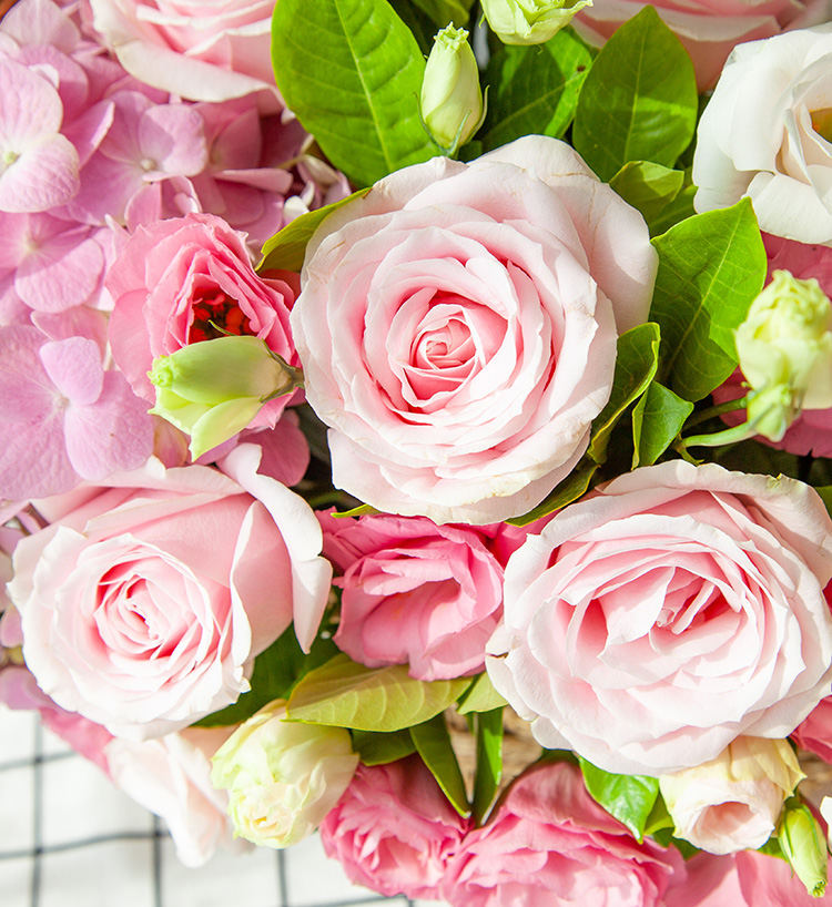 Luoshen Pink Hydrangea — alternate view