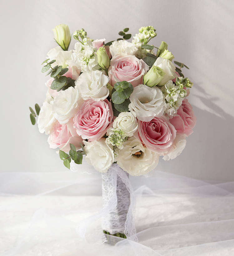 Luoshen Pink Roses