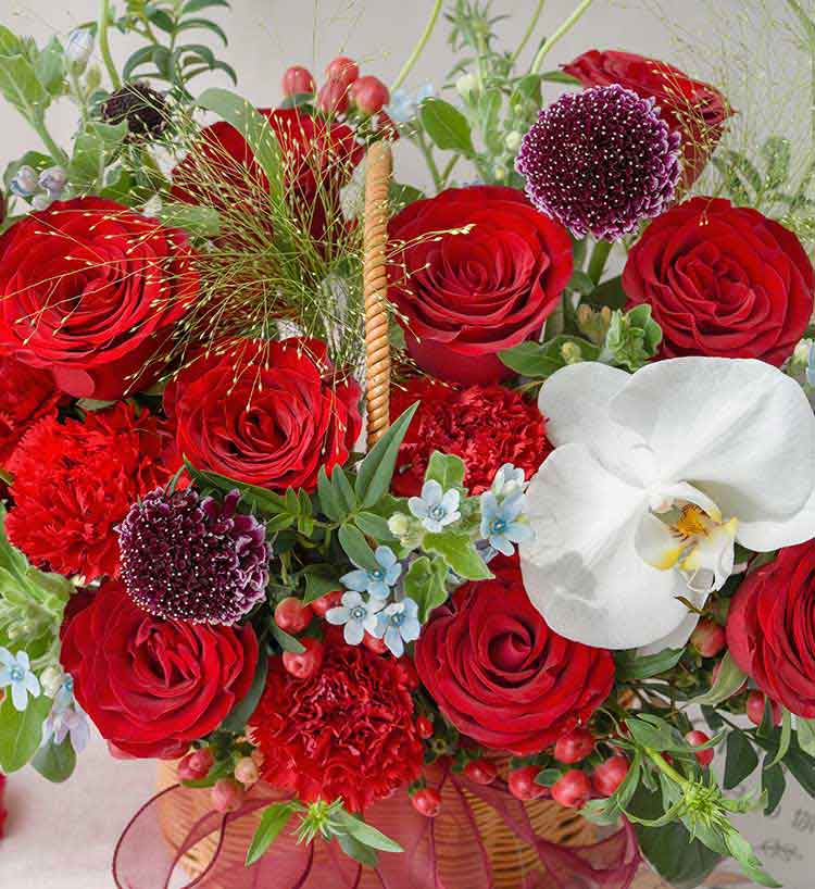 Passionate Song Red Roses