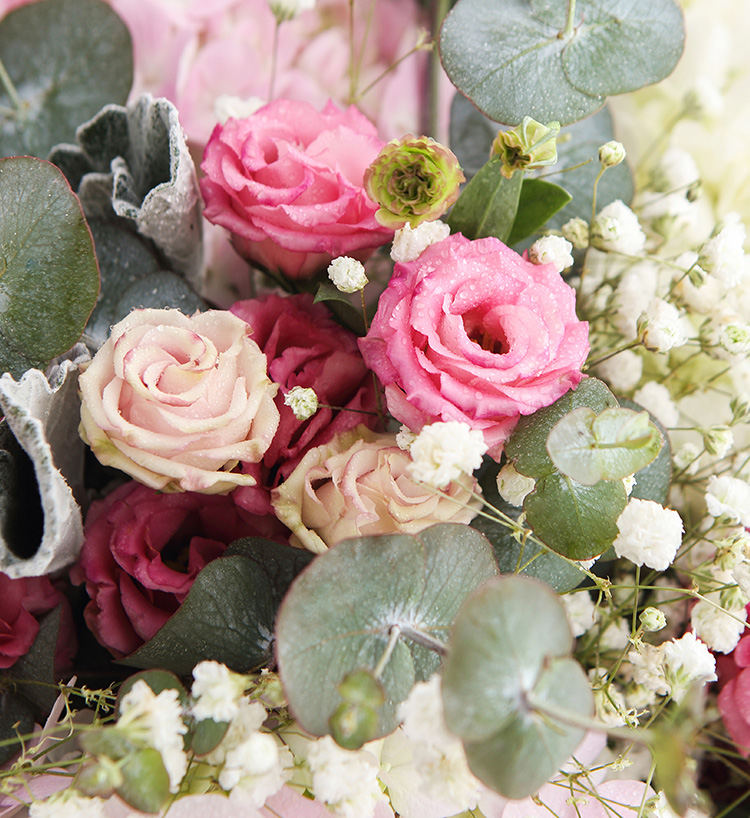 Pink Hydrangea — alternate view