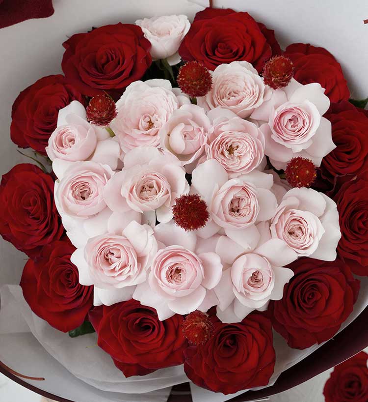 Pure Love Red Roses