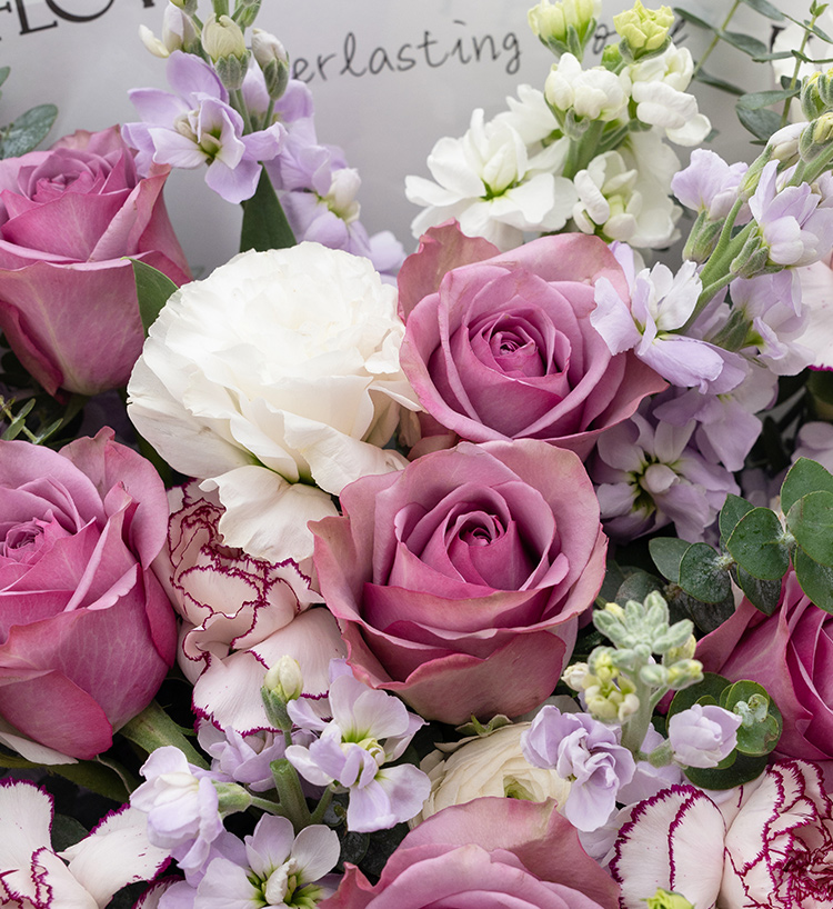 Purple Devotion